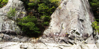 近畿Aブロック大会2018 プラクティス写真