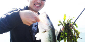 琵琶湖 2018 秋のライトリグ釣果写真