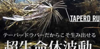 レイドジャパン エグダマ 入荷写真