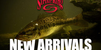 ストライクキング KVD 1.5 商品入荷 写真