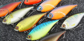 2018 サウザーオーナーズカップ プラクティス 写真