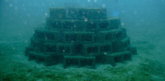 魚探とオダ漁礁について写真