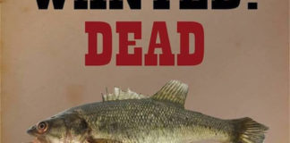 アラスカの湖でブラックバスがキャッチされる