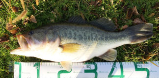 お客様からの釣果提供 琵琶湖ハンドル破損写真