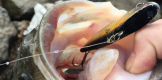 お客様からの釣果提供 琵琶湖バイブレーション写真