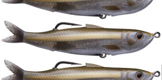 ライブターゲット ホローボディーシャイナー入荷写真