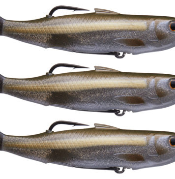 ライブターゲット ホローボディーシャイナー入荷写真