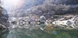 木津川釣行日記 写真