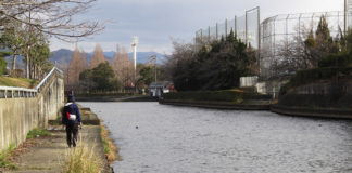 彦根旧港へ釣り 2019 釣果写真
