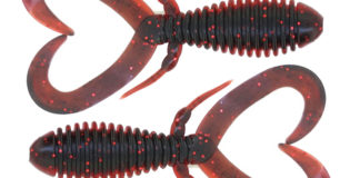 ワイドシュリンプ 3.2インチ 入荷写真