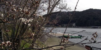 瀬田川春の釣り 釣果情報2019写真