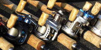 2019年 琵琶湖釣行 そろそろシーズンインかな 写真