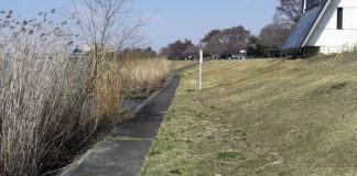 瀬田川 オカッパリ 日記2019 写真