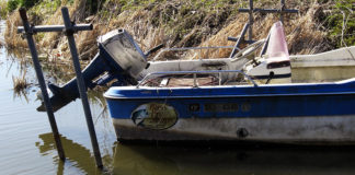 チャプター西の湖開幕戦2019年 プリプラクティス写真
