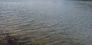 瀬田川 オカッパリ 日記2019 東岸 写真