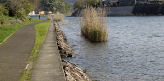 瀬田川 膳所自動車教習所ポイント紹介写真