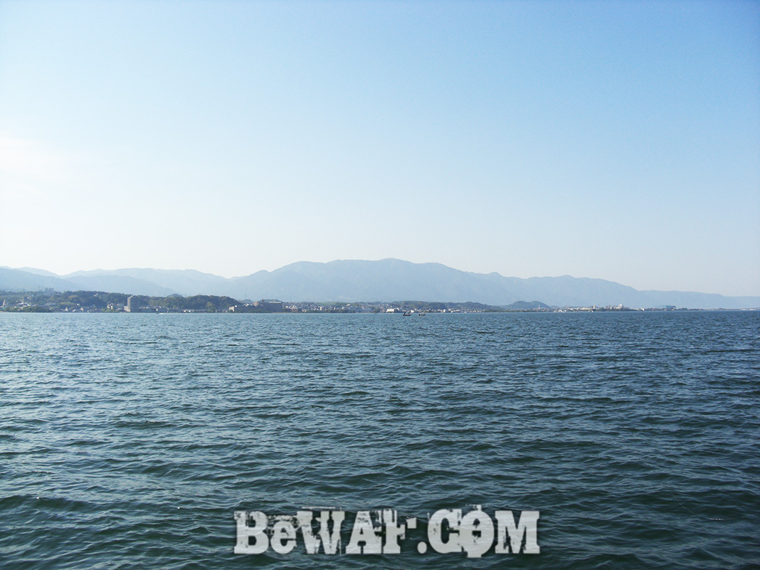 琵琶湖春の釣果 フリーリグ 写真