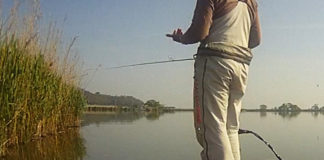 チャプター西の湖 第２戦 2019 プラクティス写真