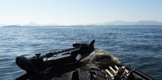 琵琶湖 湖上調査 5月下旬 写真