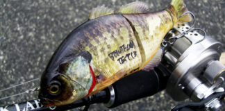 瀬田川ガンタレル釣果2019写真