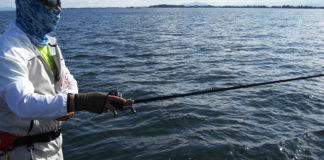 琵琶湖ウィード釣果 2019写真