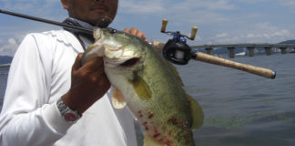 琵琶湖湖上調査 2019年 写真