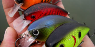 チャプター西の湖第3戦プリプラクティス写真