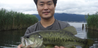 琵琶湖 トップウォーター 釣果写真 2019