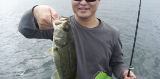 琵琶湖ガイドブログ 2019年 秋 写真