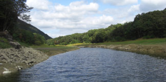 東条湖 チャンピオンシップ 2019 プリプラクティス写真