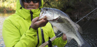 奈良県高山ダム釣行日記 釣果写真