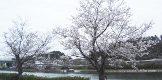 琵琶湖湖上調査 2020年 写真