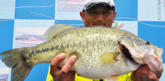 琵琶湖 春デカバス ハンティング写真