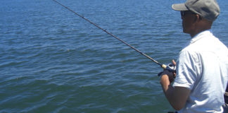 琵琶湖ガイド日記 緊急宣言後 写真