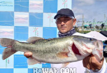 秋の琵琶湖2021 釣果写真 スピナーベイトバズベイト詳細