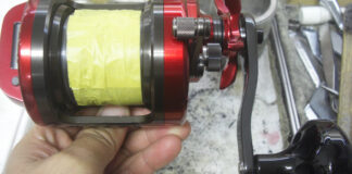 ダイワ 幻覇王 石鯛 40 シャリ音発生 分解メンテナンス写真