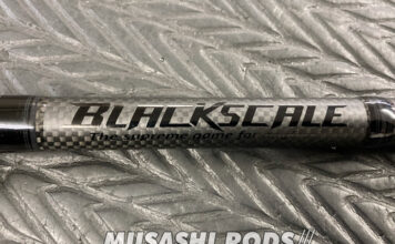 バレーヒル ブラックスケール ディスタンスエディション BSDC-87XX 玄景 修理写真