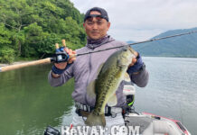 琵琶湖湖上へ (7月3日) 暑くなってきた 釣果写真