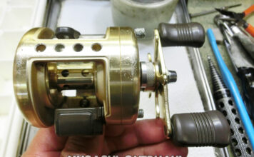 シマノ カルカッタ100XT (RH383) メンテナンス修理写真