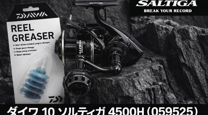 ベイトリール塗装リペイント:ダイワ 10 ソルティガ 4500H (059525) 艶ありブラック ロゴ入れ