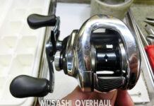 メンテナンス日記#2012:シマノ 19 アンタレス 左 (039835) 中からカラカラ異音 シマノ 19 アンタレス 左 (039835) メンテナンス修理写真