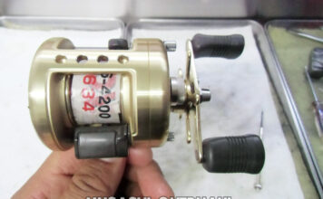 メンテナンス日記#2019:シマノ 97 カルカッタ100XT RH38 (01196) シュリシュリ異音 シマノ 97 カルカッタ100XT RH38 (01196) シュリシュリ異音修理