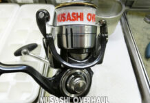 ダイワ 19 セルテート LT2500-H (060047)(4960652202794) マグシールド切れ