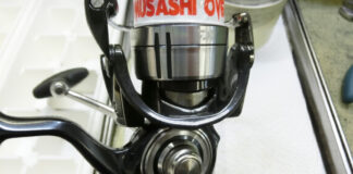 ダイワ 19 セルテート LT2500-H (060047)(4960652202794) マグシールド切れ