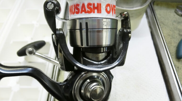 ダイワ 19 セルテート LT2500-H (060047)(4960652202794) マグシールド切れ