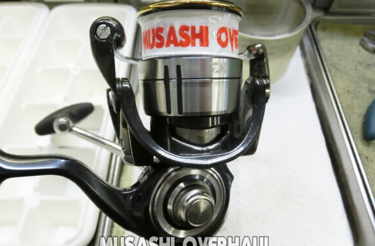 ダイワ 19 セルテート LT2500-H (060047)(4960652202794) マグシールド切れ