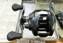 ダイワ 21 スティーズ A TW HLC 7.1L (00630234) (4550133121517) メンテナンス修理写真