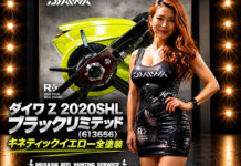 ベイトリール塗装リペイント:ダイワ Z 2020SHL ブラック リミテッド (613656) キネティックイエロー全塗装