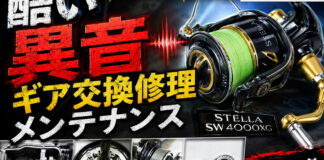 シマノ SHIMANO 13 ステラSW 4000XG (03062) 酷い異音修理写真