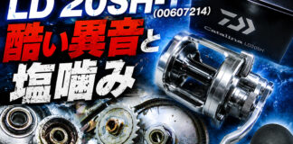 ダイワ キャタリナLD 20SH-T (00607214) 酷い異音 修理写真